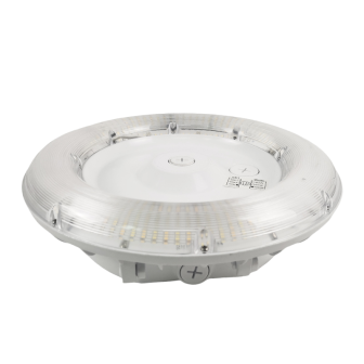 CPSL100 Canopy  Light